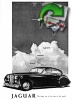 Jaguar 1953 0.jpg
